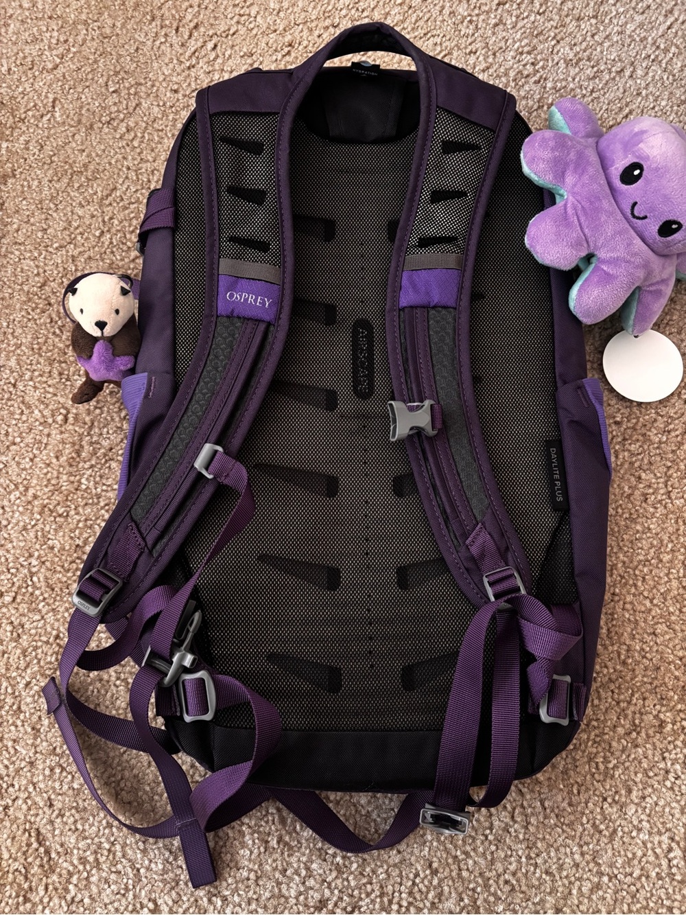 OSPREY Purple Daylite Plus Backpack - Picture 4 of 9